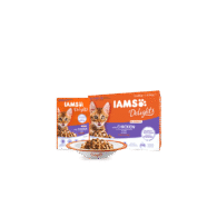IAMS Kitten (chicken)