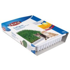 TRIXIE Žolė katėms, dubenėlyje apie 100 g (Miežiai)