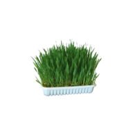 Papildas auginimui - žolytė katei 100 g 83198