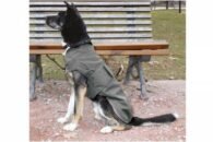 Paltukas nuo lietaus MONTREAL pilkas 30cm