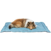 Trixie Samoa Classic reisi tekk, 120x80 cm, helesinine/hall