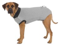 Trixie Protective collar (body) for dog, S 35 cm, gray