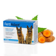 DOGOTEKA FertiAdapt 60tbl.